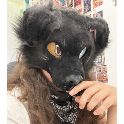 Canine Wolf Base