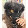 Canine Wolf Base